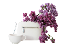 Lilac flower png transparent background