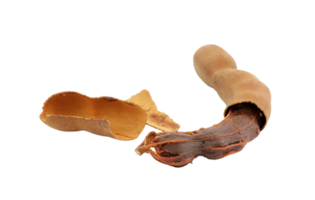 Tamarind png transparent background