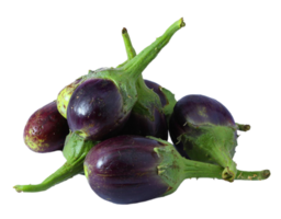 Brinjal png transparent background