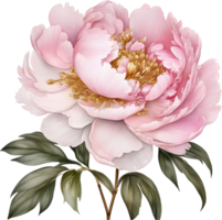 Picture of many peonies Chinese watercolor style. AI-generated. png