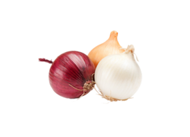 Zwiebel png transparent Hintergrund