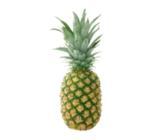 ananas png transparent Contexte