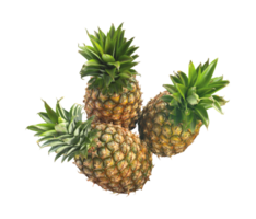 ananas png transparent Contexte