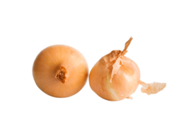 onion png transparent background