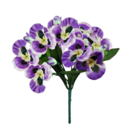 viola flor png transparente antecedentes