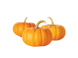 Pumpkin png transparent background