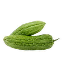 Bitter gourd png transparent background