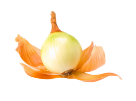 onion png transparent background