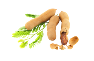 Tamarind png transparent background