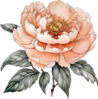 Picture of many peonies Chinese watercolor style. AI-generated. png