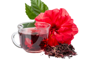 Hibiscus flower png transparent background