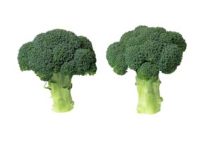 broccoli png trasparente sfondo