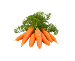 carrot png transparent background