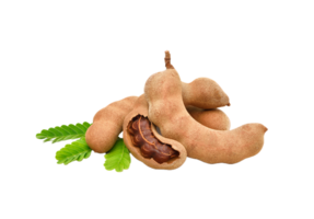 tamarind png transparent bakgrund