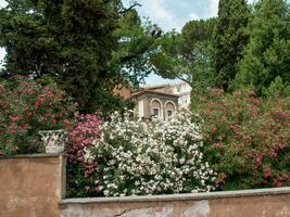 the city of Rome photo