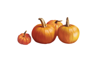 zucca png trasparente sfondo