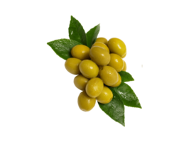 Olive png transparent background