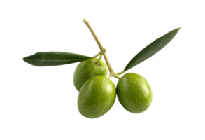 Olive png transparent Hintergrund