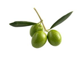 aceituna png transparente antecedentes