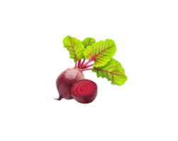 Beetroot png transparent background