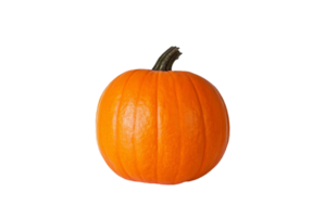 zucca png trasparente sfondo