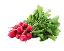 radish png transparent background