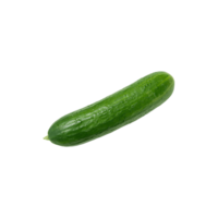 Pepino png transparente antecedentes