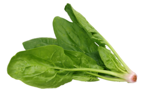 spinach png transparent background