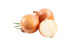 onion png transparent background