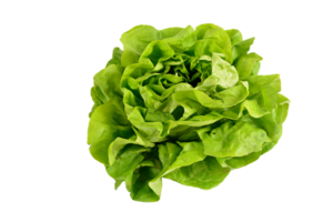 spinach png transparent background