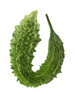 Bitter gourd png transparent background