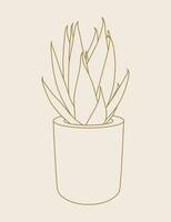 Sansevieria succulent house plant line art illustration. Scandinavian cozy home decor silhouette symbol. Flat vector cartoon icon illustration of house plant isolated.