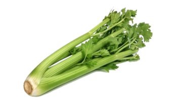 celery png transparent background