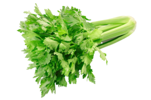 celery png transparent background