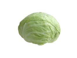 cabbage png transparent background