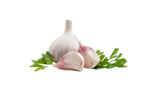 onion png transparent background