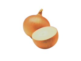 Zwiebel png transparent Hintergrund