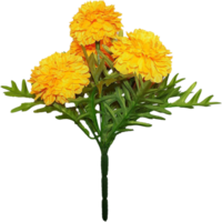 Marigold flower png transparent background