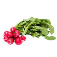 radish png transparent background