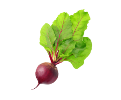 Beetroot png transparent background