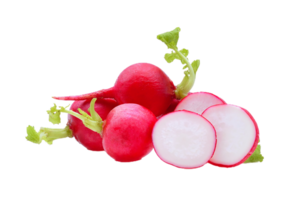 radish png transparent background