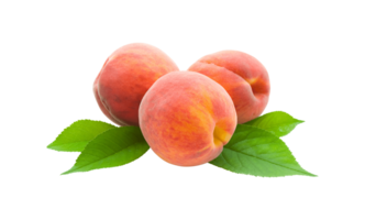 peach png transparent background