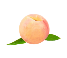 peach png transparent background