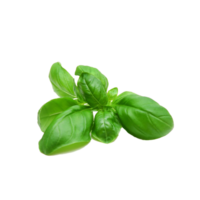 spinach png transparent background