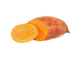 sweet potato png transparent background