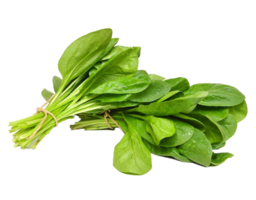 spinach png transparent background