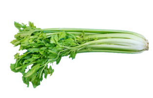 celery png transparent background