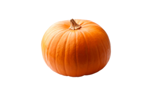 citrouille png transparent Contexte