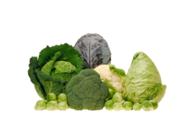 cabbage png transparent background