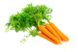 carrot png transparent background